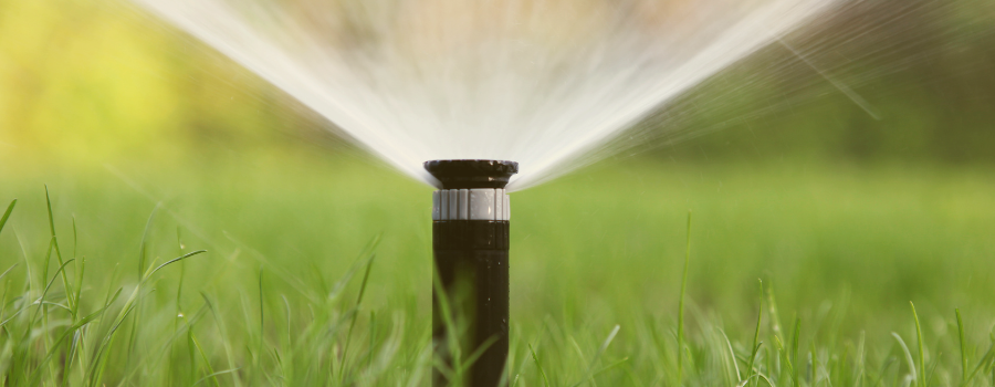 Lawn sprinkler watering green grass