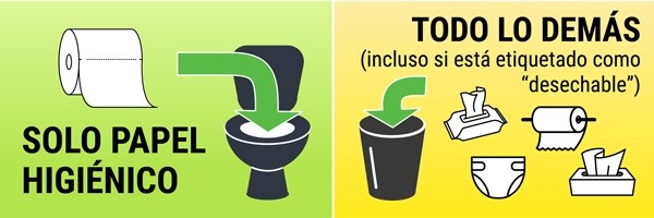 Only flush toilet paper - everything else in the trash even if labeled as flushable