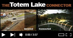 TOTEM-BRIDGE-video-logo.jpg