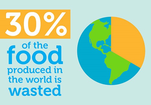 30 percent of the food produced in the world is wasted