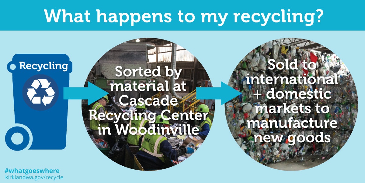 what-happens-to-recycling.jpg