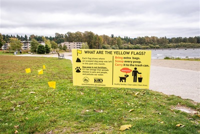 Pet Waste Flags