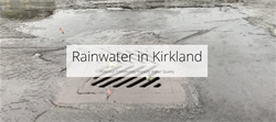Rainwater Story Map