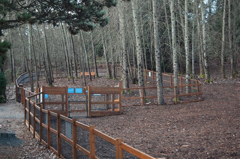 Jasper Dog Park