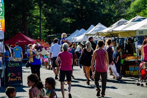 Juanita Friday Market Shoppers