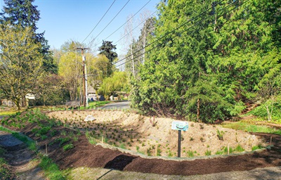Champagne Creek Rain Garden