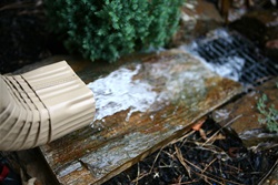Downspout Disconnected