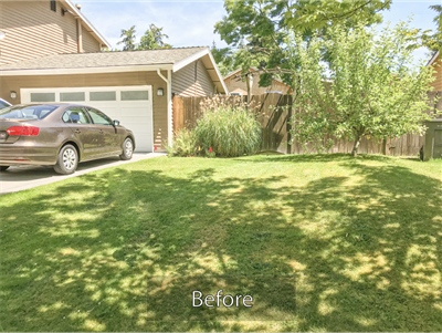 Native Landscaping Before